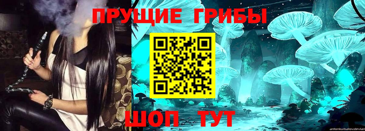 купить наркотик  Псилоцибиновые грибы Psilocybe  Вход с VPN  Изобильный 